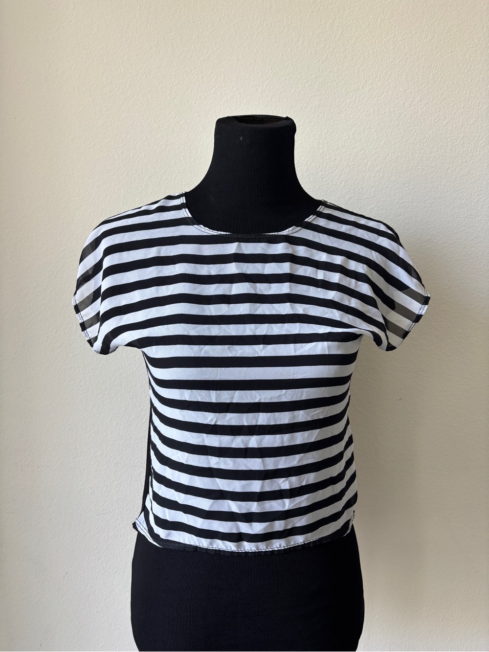 Aqua Brand Sheer Classic Black & White Striped Blouse